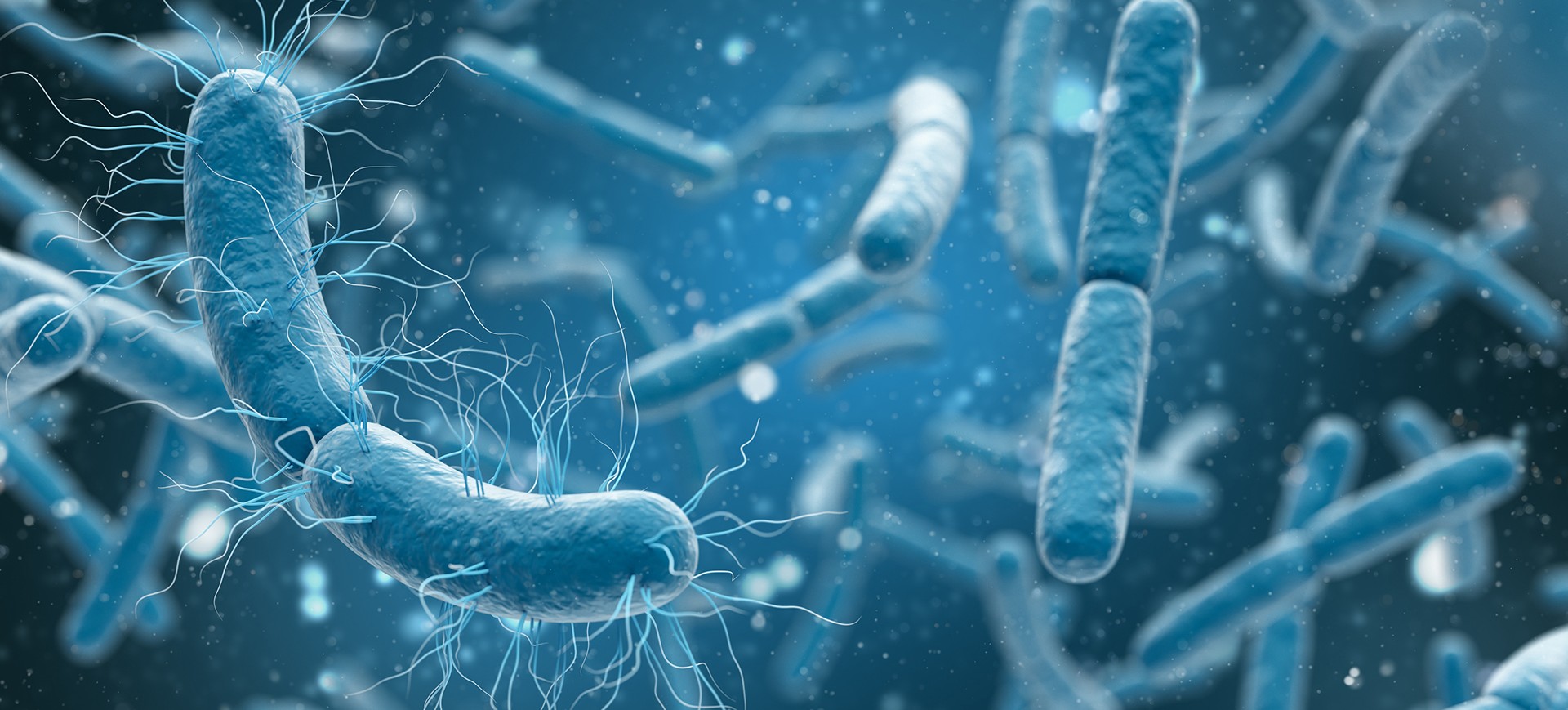 Legionella bacteriën